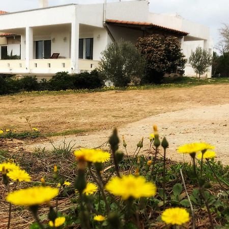 The Hillhouse Near Alexandroupolis Villa Luaran gambar